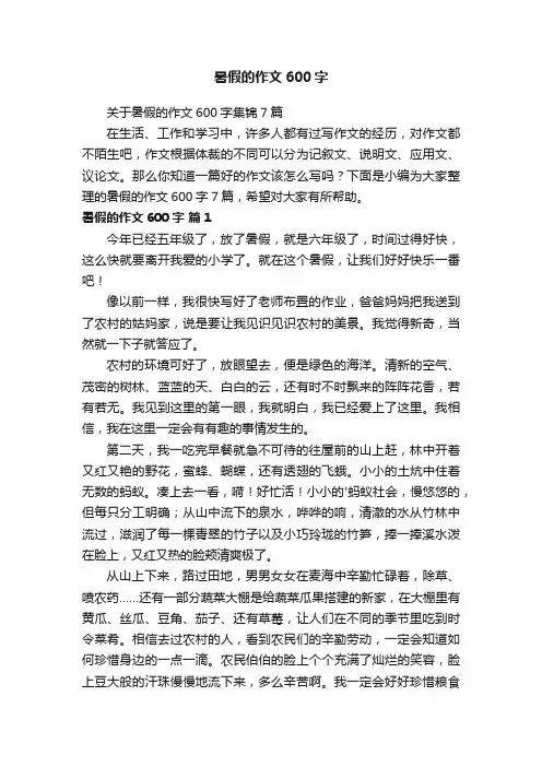 关于暑假的作文600字集锦7篇