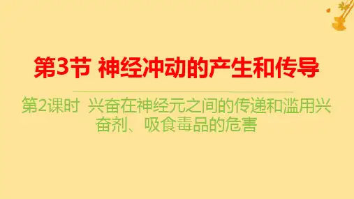新教材高中生物第2章兴奋在神经元之间的传递和滥用兴奋剂吸食毒品的危害pptx课件新人教版选择性必修1
