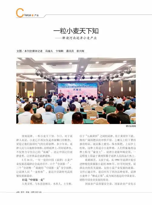 —粒小麦天下知——解读河南延津小麦产业