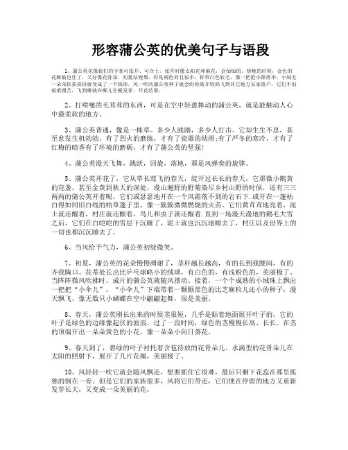 形容蒲公英的优美句子与语段