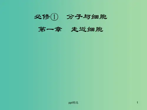高考生物 第1章 走近细胞课件 新人教版必修1