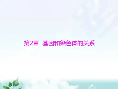 高考生物一轮复习必修2第2章第1节减数分裂和受精作用课件