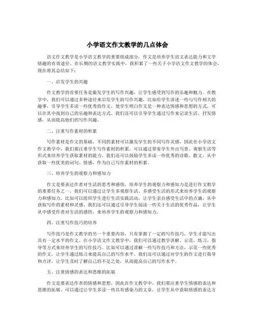 小学语文作文教学的几点体会
