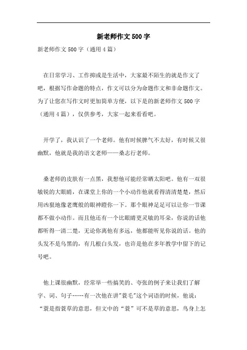 新老师作文500字