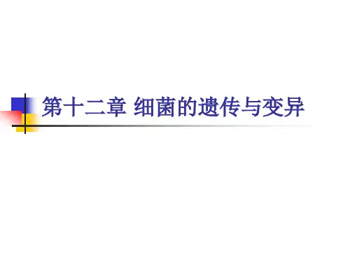 第12章 细菌的遗传与变异