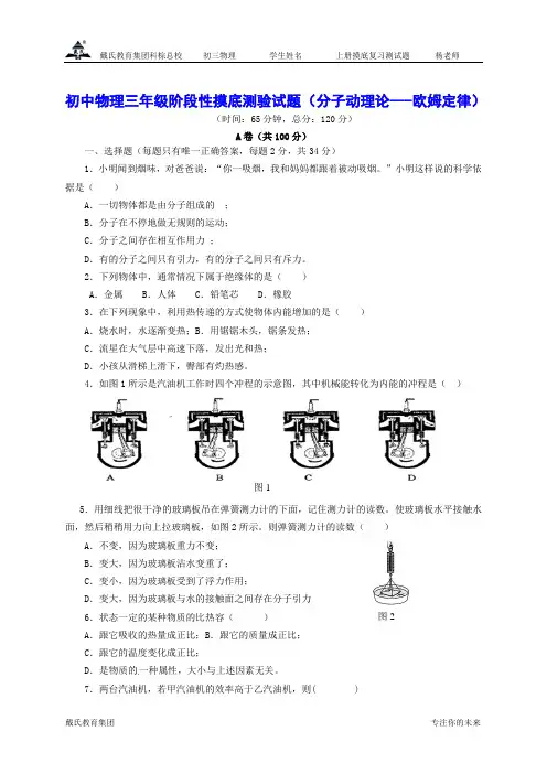 DSE初三年级上物理综合测试