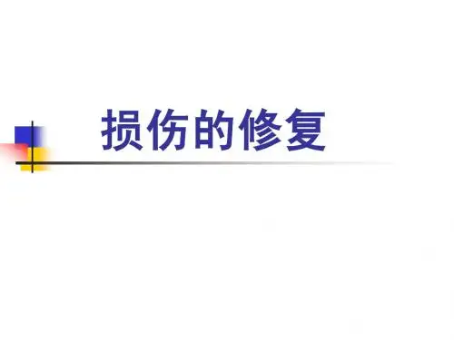 损伤的修复介绍.