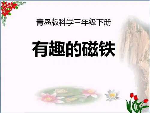 《有趣的磁铁》PPT课件精品 课件 