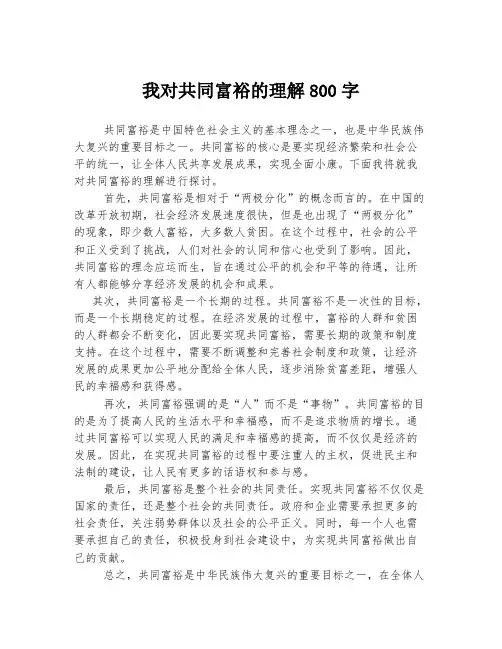 我对共同富裕的理解800字