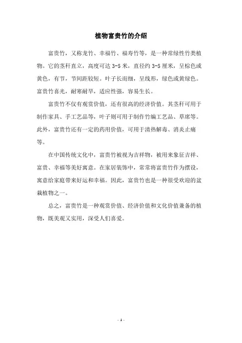 植物富贵竹的介绍