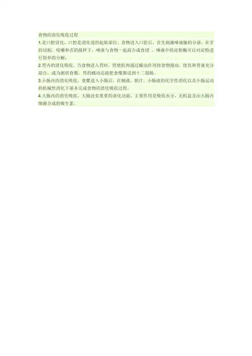 食物的消化吸收过程