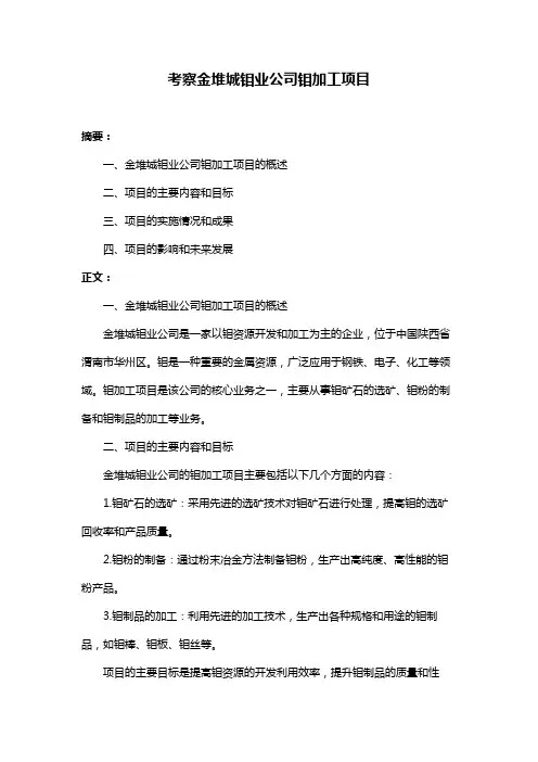 考察金堆城钼业公司钼加工项目