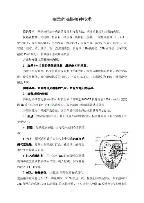 病毒的鸡胚接种技术