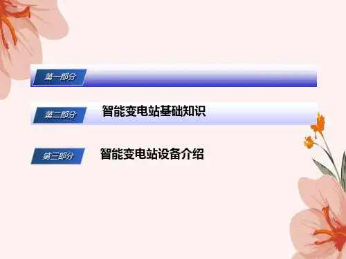 智能变电站基础总体介绍调整