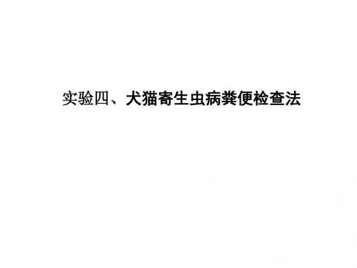 犬猫寄生虫病粪便检查法