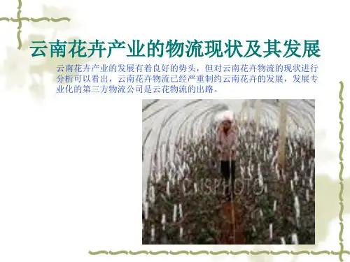 云南花卉产业的物流现状及其发展