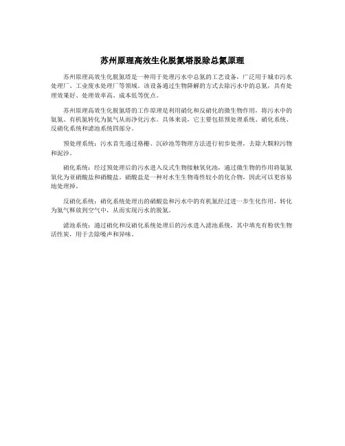苏州原理高效生化脱氮塔脱除总氮原理