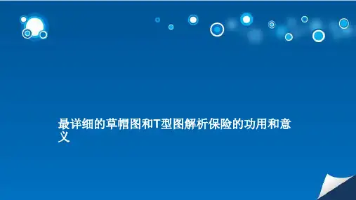 草帽图+T型图讲保险PPT精选文档