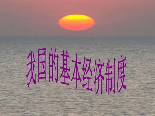 我国的基本经济制度