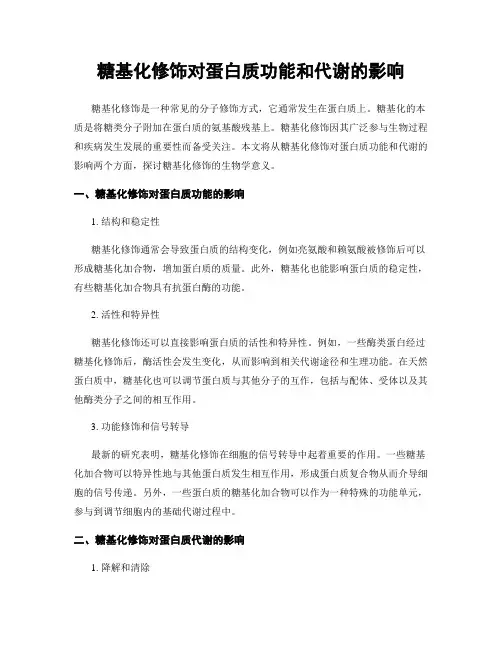 糖基化修饰对蛋白质功能和代谢的影响