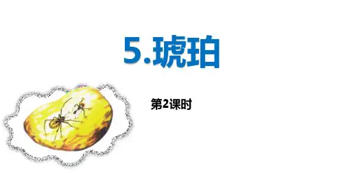 部编版四年级下册语文《琥珀》PPT教学电子课件(第2课时)