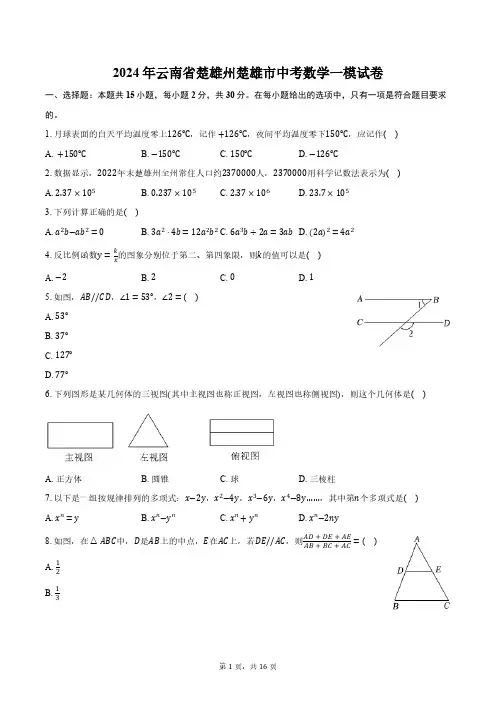 2024年云南省楚雄州楚雄市中考数学一模试卷(含解析)