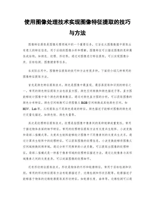 使用图像处理技术实现图像特征提取的技巧与方法