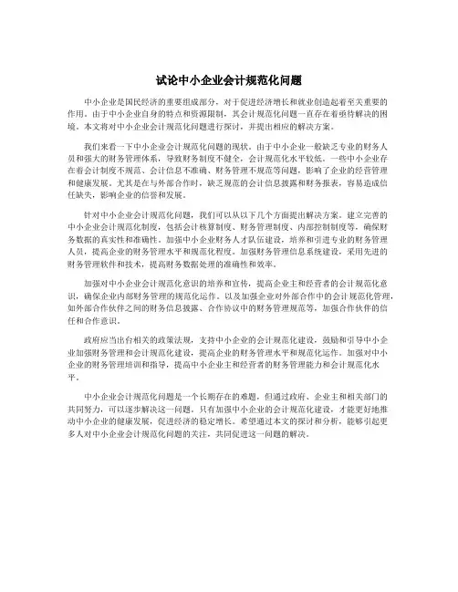 试论中小企业会计规范化问题
