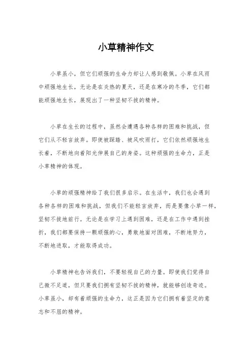 小草精神作文