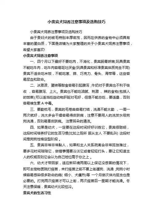 小贵宾犬饲养注意事项及选购技巧