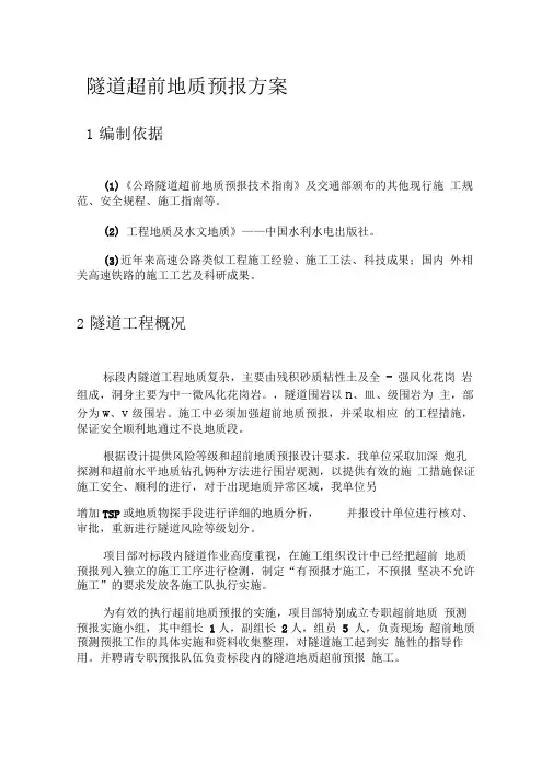隧道超前地质预报方案