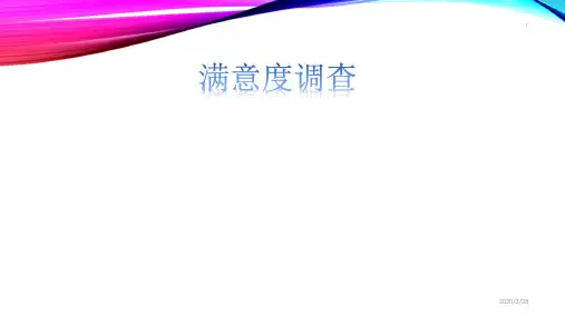 满意度调查PPT课件