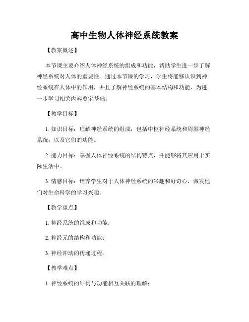 高中生物人体神经系统教案