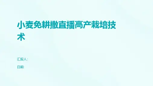 小麦免耕撒直播高产栽培技术