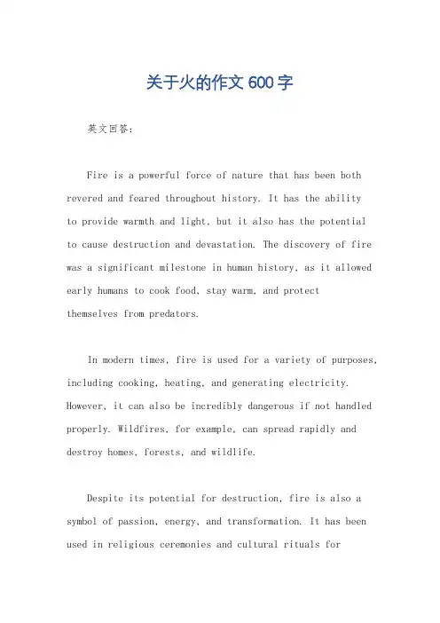 关于火的作文600字