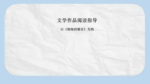 广东省深圳市宝安区中考语文学作品阅读指导复习课件