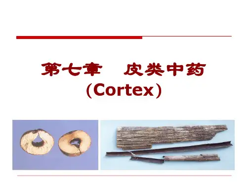 七第七皮类中药.