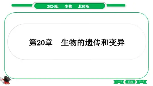 2024年北师大版中考生物总复习第一部分考点梳理八年级上册第6单元生命的延续第20章生物的遗传和变异