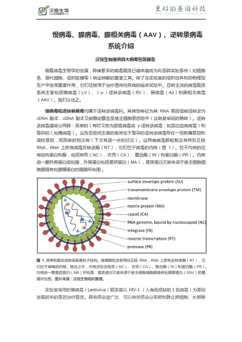 慢病毒、腺病毒、腺相关病毒(AAV)、逆转录病毒系统介绍
