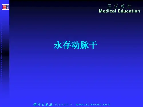 永存动脉干