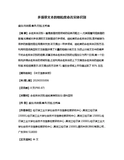 多场景文本的细粒度命名实体识别
