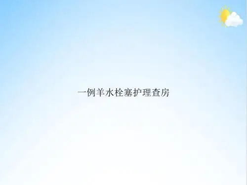 一例羊水栓塞护理查房
