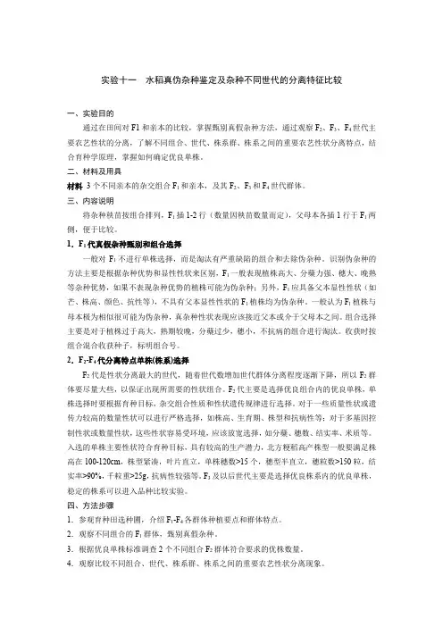试验：水稻真伪杂种鉴定及杂种不同世代的分离特征比较