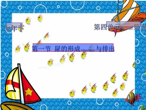 七年级生物下册第五章第一节尿的形成与排出初中七年级下册生物