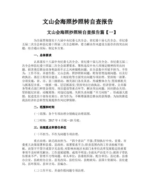 文山会海照抄照转自查报告