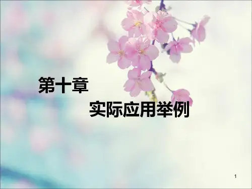 管理系统中计算机应用第十章-实际应用举例 PPT课件