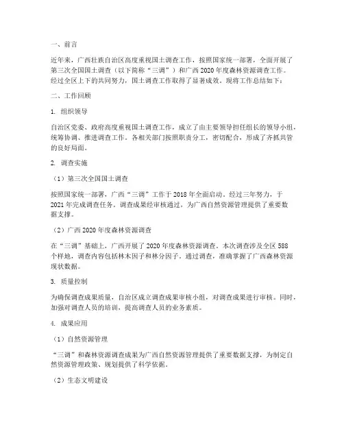 广西国土调查工作总结报告
