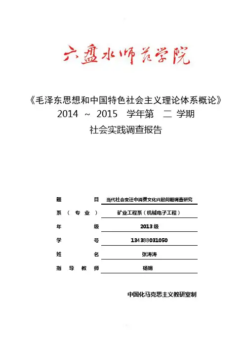毛概社会实践调查报告：当代社会变迁中消费文化兴起问题调查研究