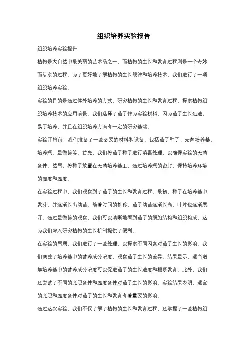 组织培养实验报告