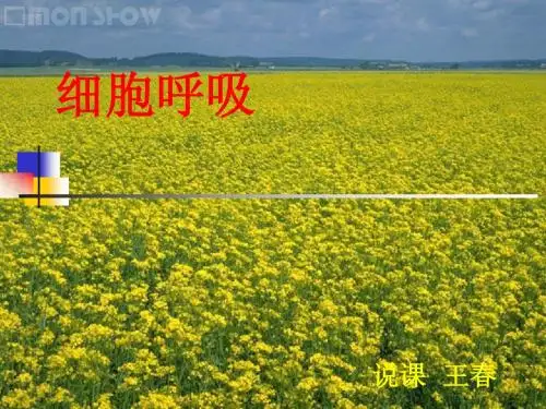 细胞呼吸说课稿